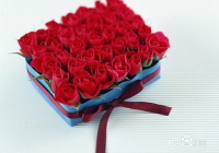 女生情人节该送男朋友什么礼物