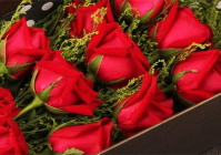 女孩喜欢的情人节礼物