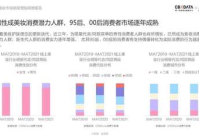 美妆消费人群分析