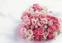 情人节女人都喜欢什么礼物