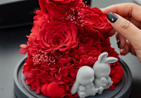 女生情人节送女生什么礼物