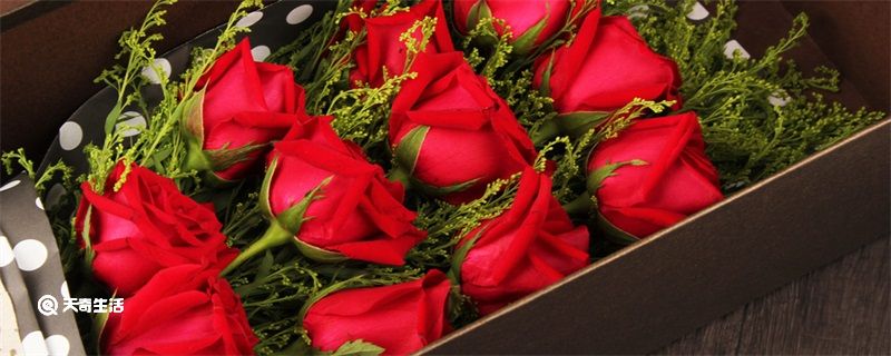 女孩喜欢的情人节礼物