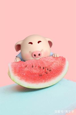 关于女生购物的说说搞笑