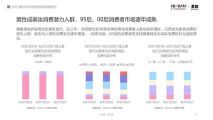美妆消费人群分析