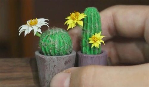 适合女生种的花草